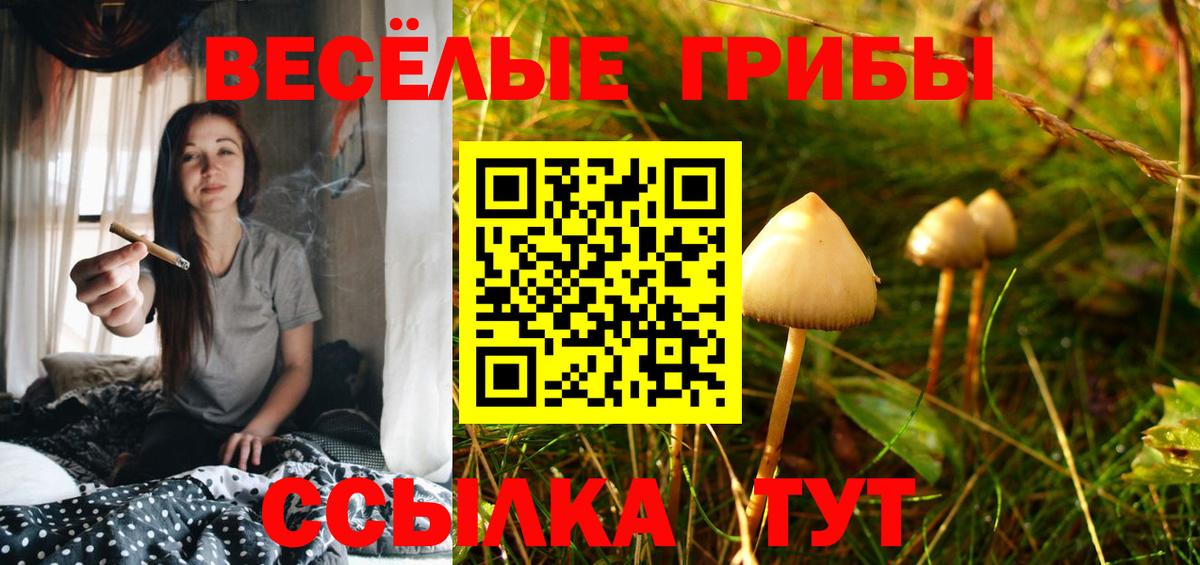 Галлюциногенные грибы Cubensis  наркотики  Тобольск 