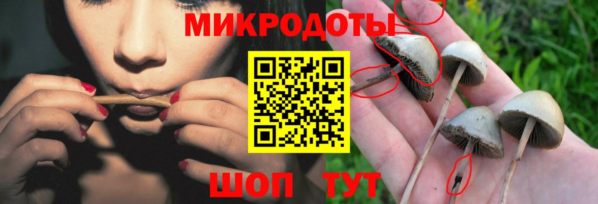 Псилоцибиновые грибы мухоморы Тобольск